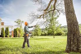Best Mulching Services  in Fowlkes, TN