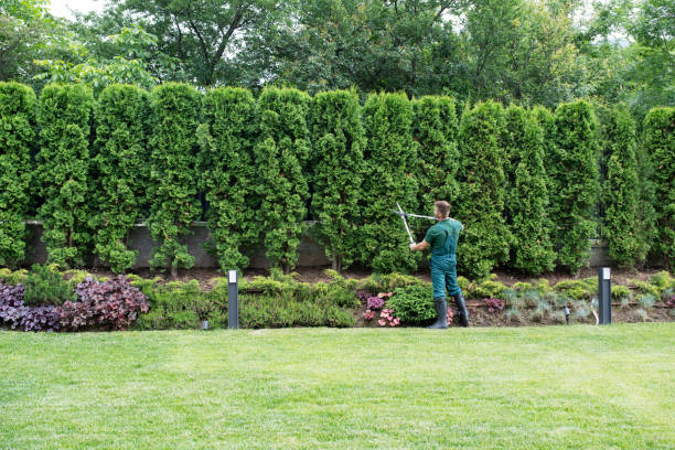 Best Tree Health Inspection  in Fowlkes, TN